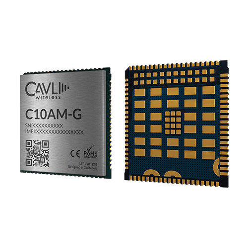 MODULE LTE CAT 1/2G - C10AMG