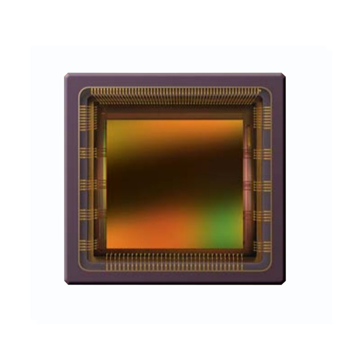 IMAGE SENSORS & COLOR SENSORS - CMV4000-2E5C1PP