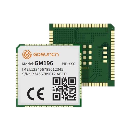 MODULE LTE/GSM LCC - GM196-E1B-MKRB-01