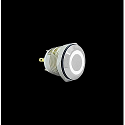 E39 16MM METAL BUTON YAYLI 12-24V BEYAZ LED 1NO