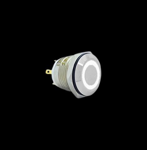 E39 16MM METAL BUTON YAYLI 12-24V BEYAZ LED 1NO